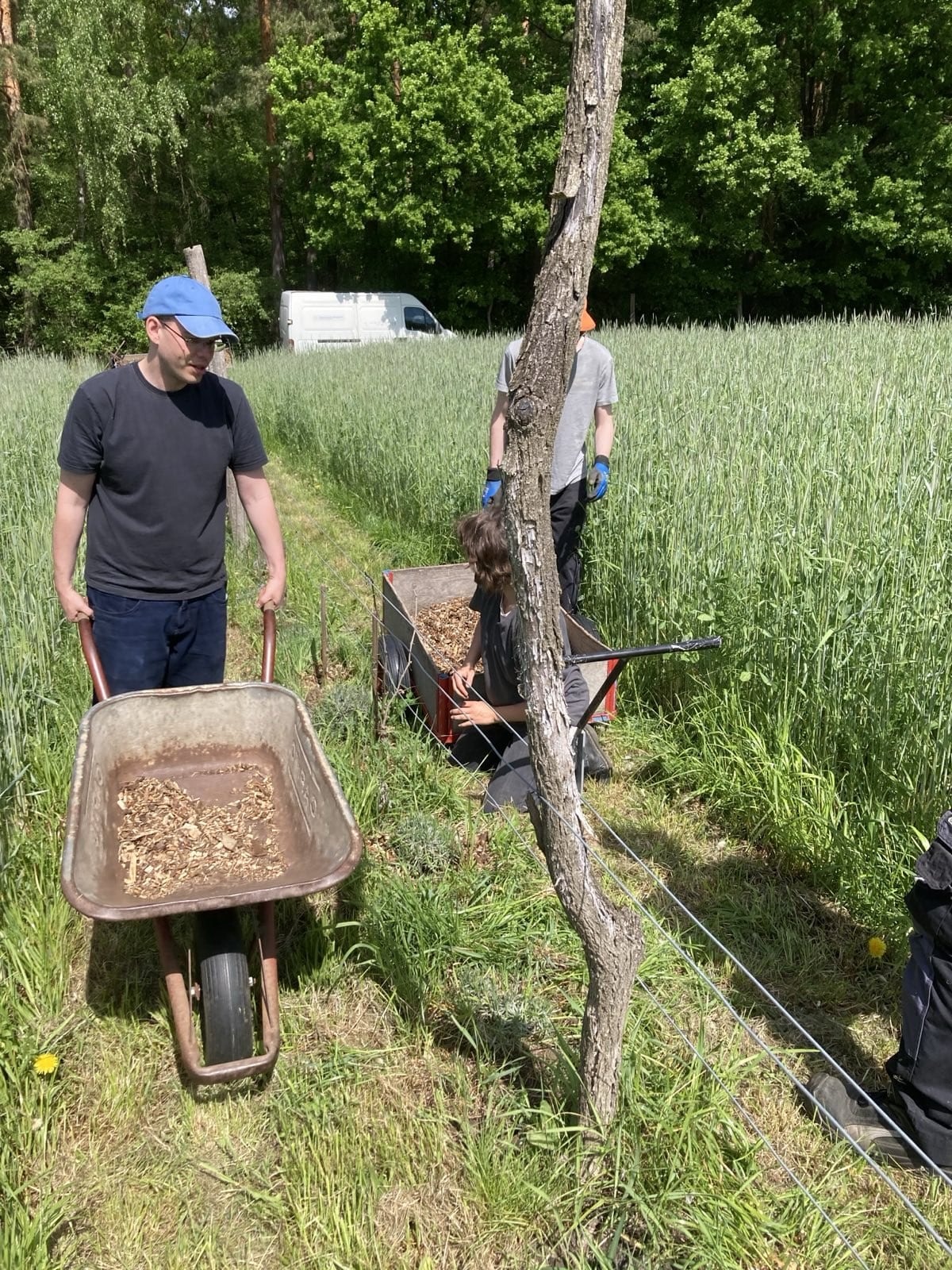 Menschen mit Schubkarren auf Acker
