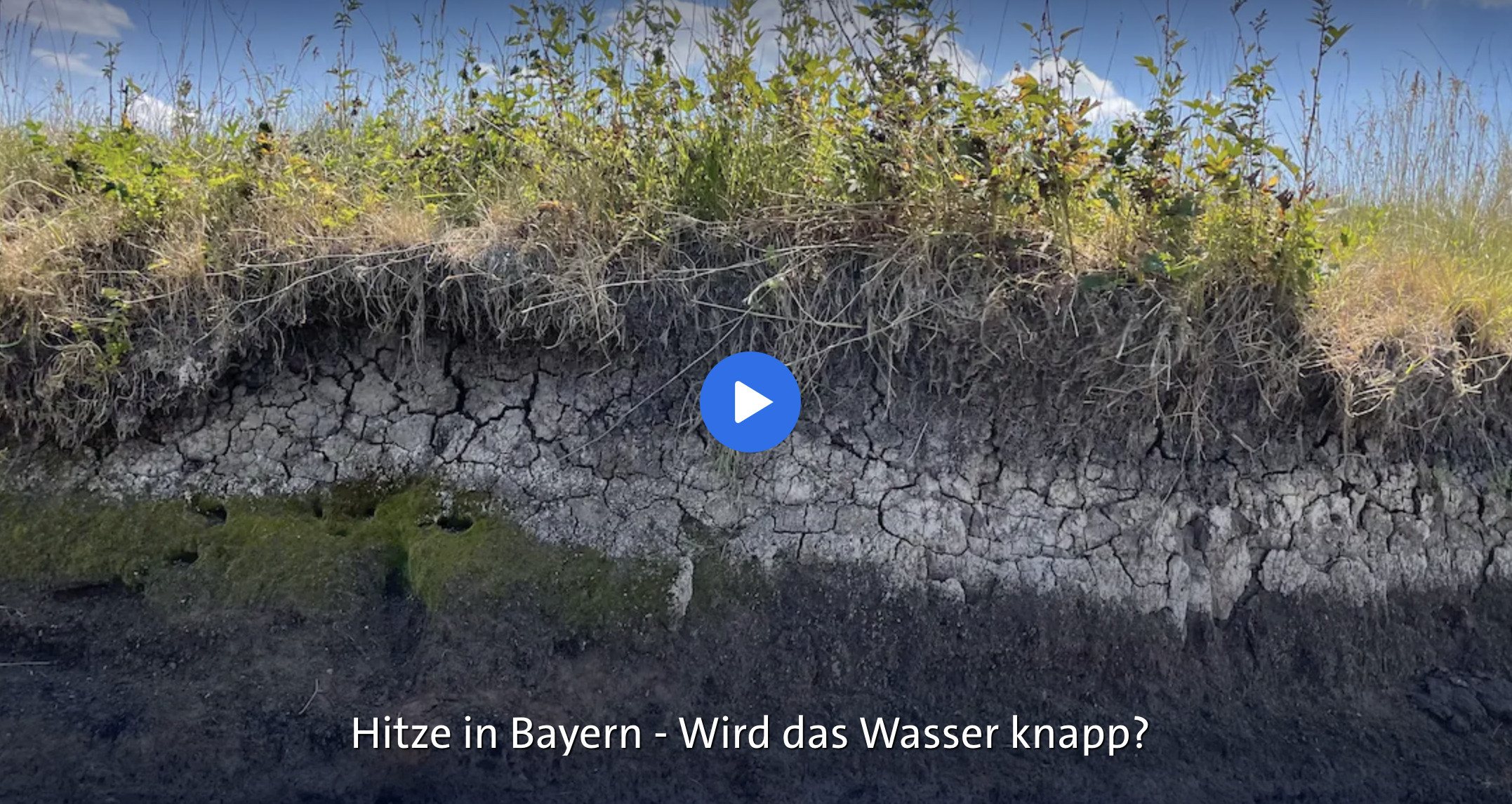 Wasser in der Krise: Hitze, Trockenheit und politische Verantwortung in Bayern