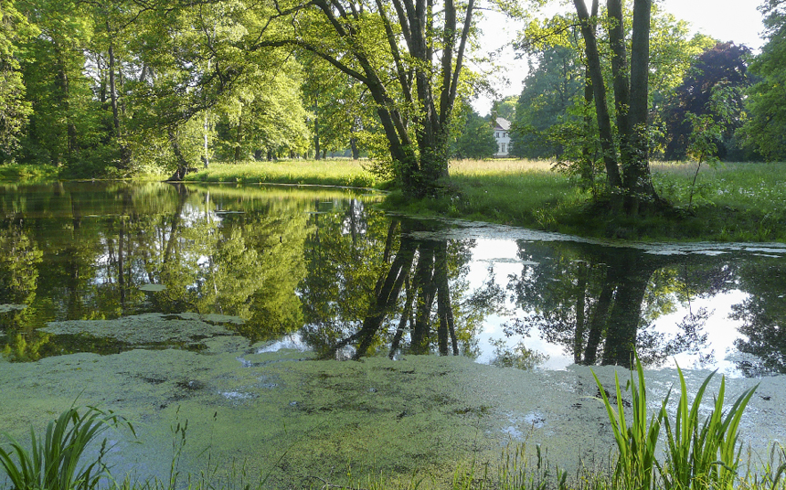 LennéPar Baruth/Mark