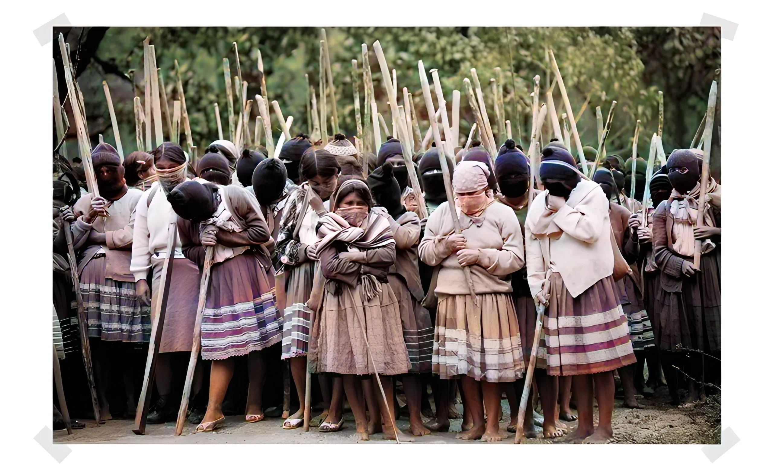 Landwirtschaft & Aktivismus – was wir daraus lernen können
