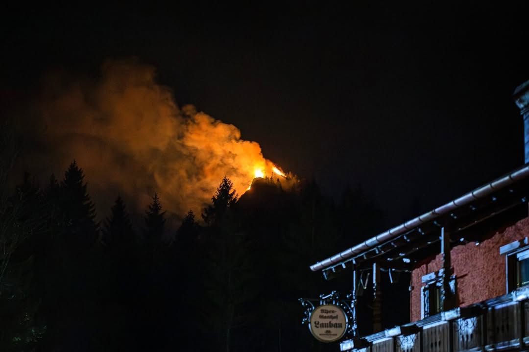 Brand Saurüsselkopf
